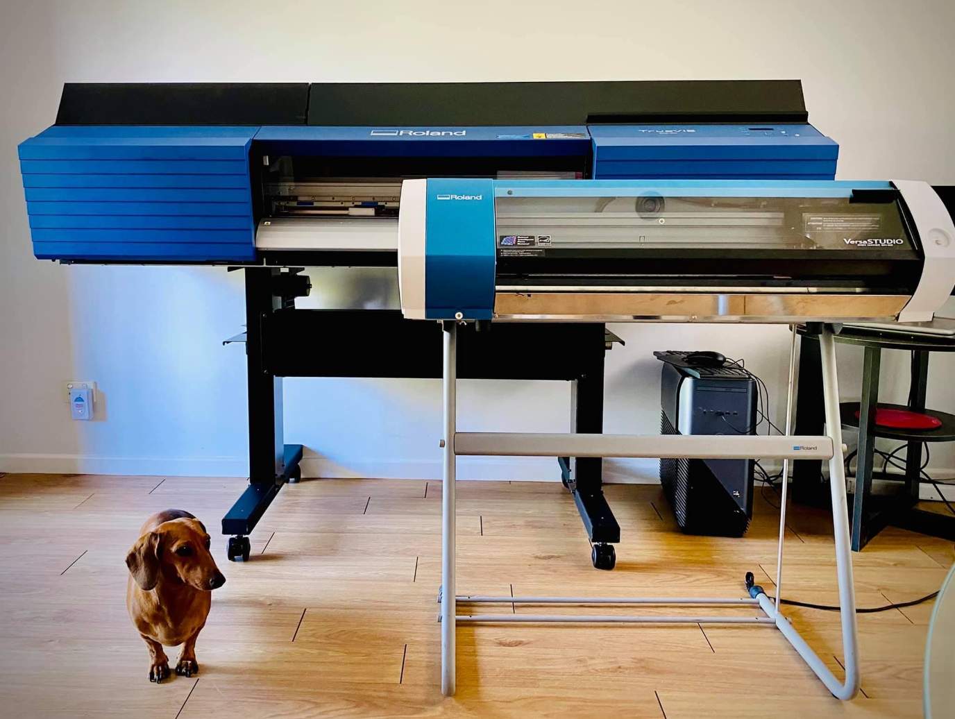 TrueVIS Story with Lush Graphix image 01