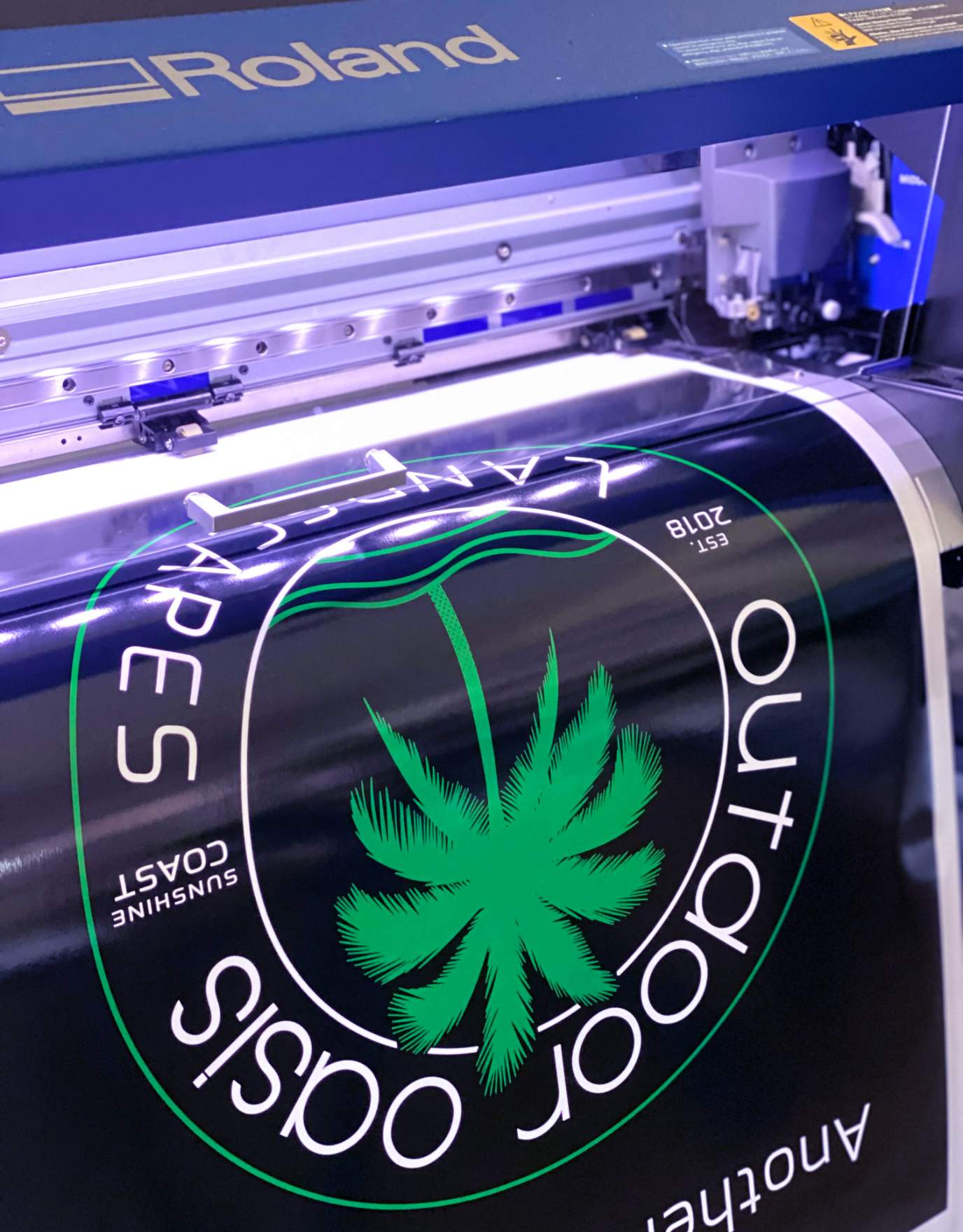 TrueVIS Story with Lush Graphix image 03